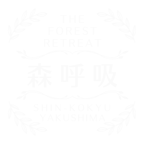 The Forest Retreat 森呼吸 屋久島 森林浴ガイド