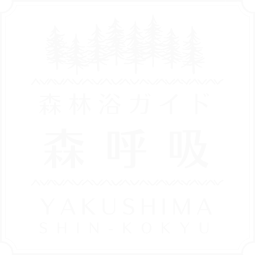 森呼吸 屋久島森林浴ガイド Shinkokyu Yakushima